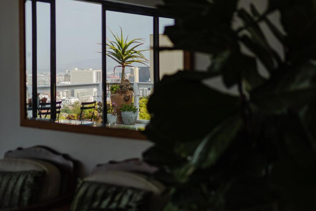 קייפטאון Radium Hall Guest House מראה חיצוני תמונה