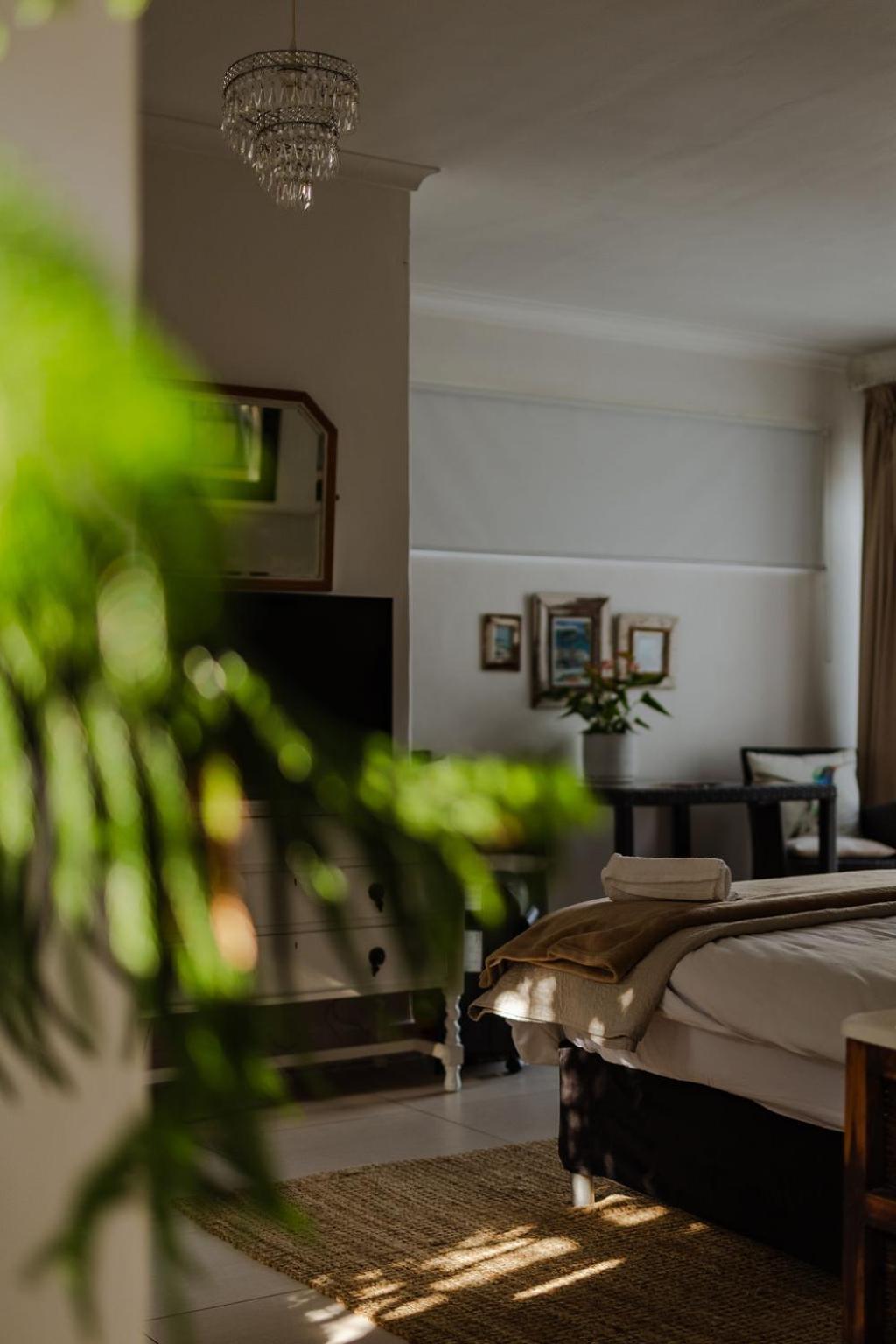 קייפטאון Radium Hall Guest House מראה חיצוני תמונה