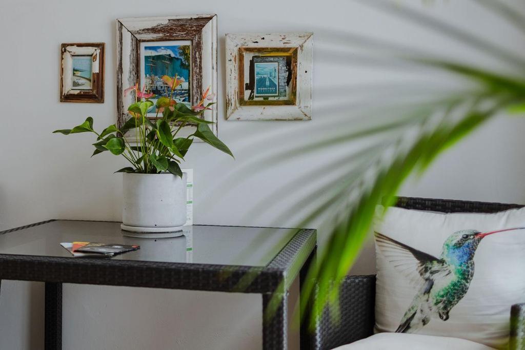 קייפטאון Radium Hall Guest House מראה חיצוני תמונה